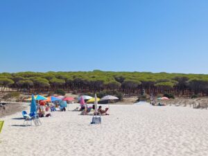 Tag auf einer der vielen Ständen Sardiniens verbringen